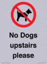 no-dogs-upstairs-please-~